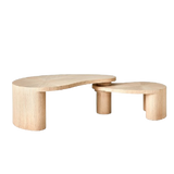 Organic Sculptural Coffee Table Set